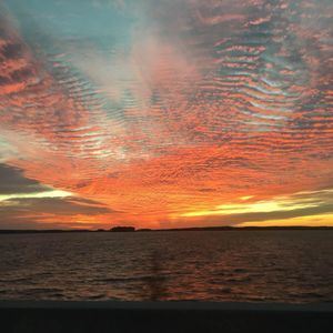 Meet your Posher, Dawn